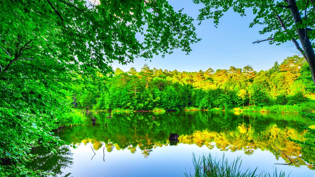Sapanca G&ouml;l&uuml; Gezi Rehberi