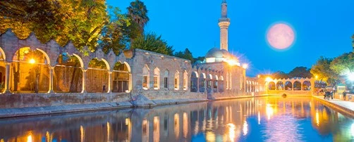 Şanlıurfa Ara&ccedil; Kiralama